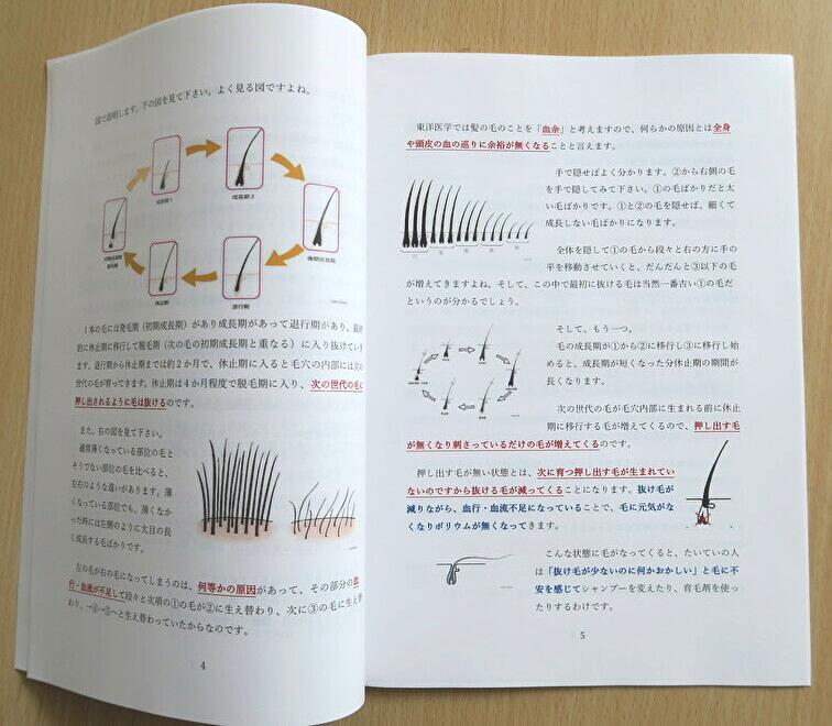 非常識な育毛読本4p-5p