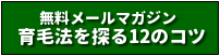 メールマガジン育毛法を探る12のコツ