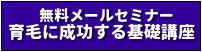 メールセミナー育毛に成功する基礎知識