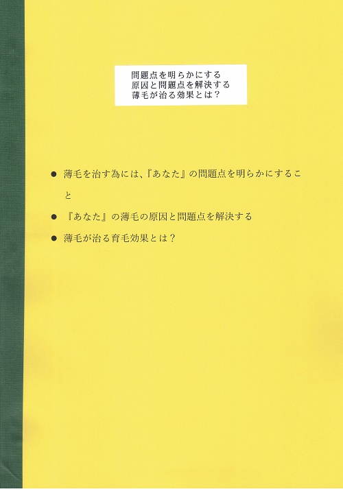 薄毛の問題点を明らかにする・薄毛の原因問題点を解決する・薄毛が治る効果とは？