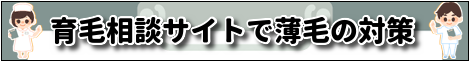 薄毛は育毛相談サイト